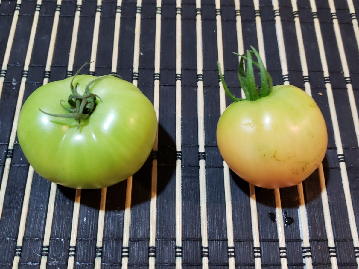 Removing the Negative